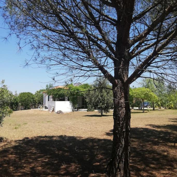 Villa del glicine Muro Leccese Exterior foto